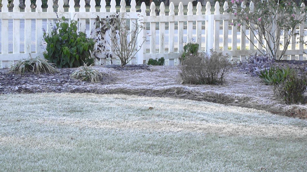 Protect Your Lawn From Frost Damage Magic Construction Minnesota