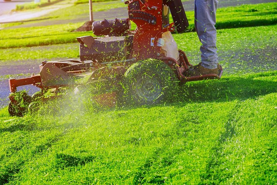 Finding Lawn Care Services in Minnesota City