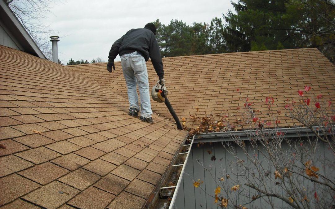 gutter cleaning