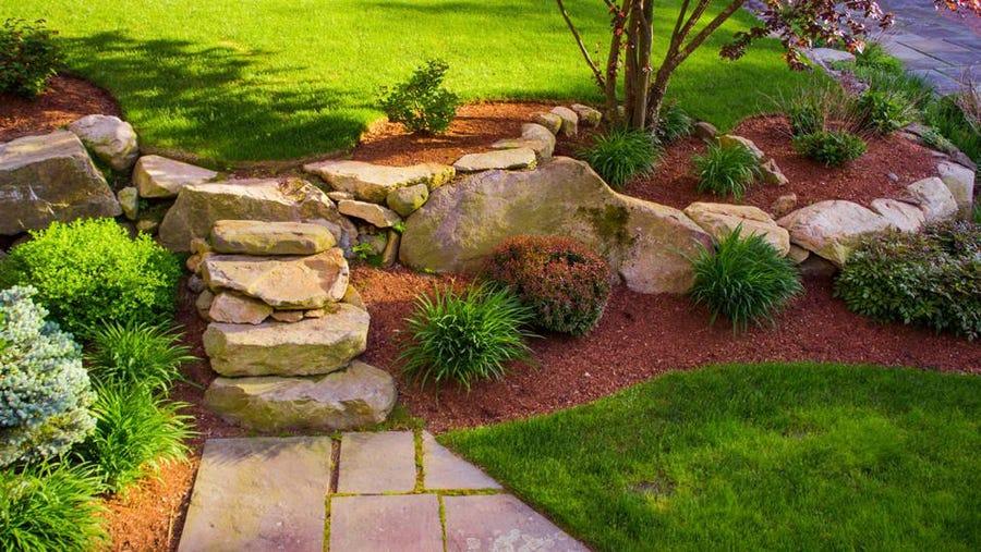 landscaping tips for beginners