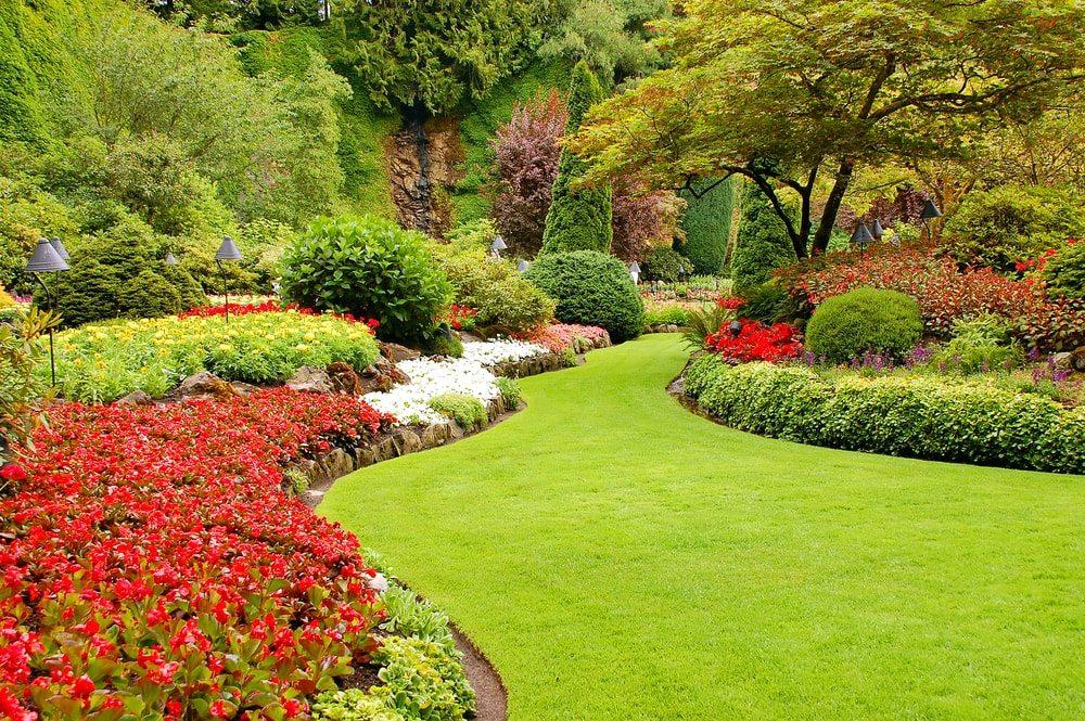 landscape contractors