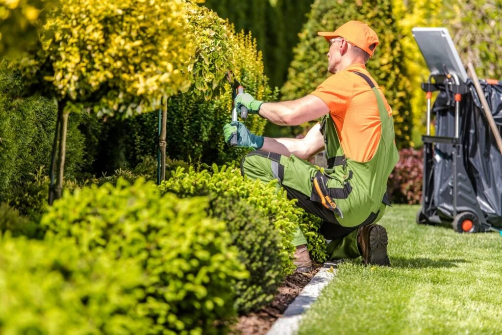 tree care