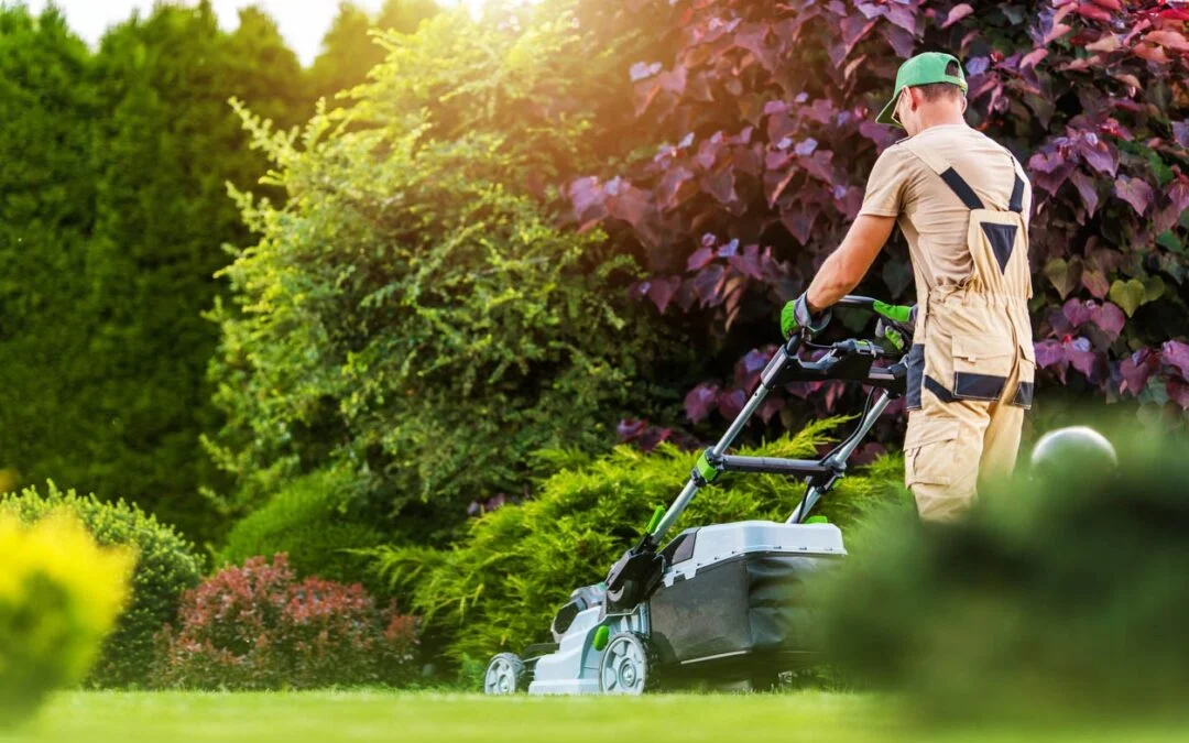 minnesota lawn mowing
