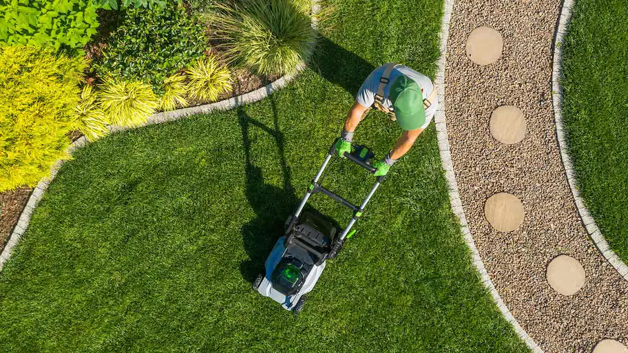 minnesota lawn mowing