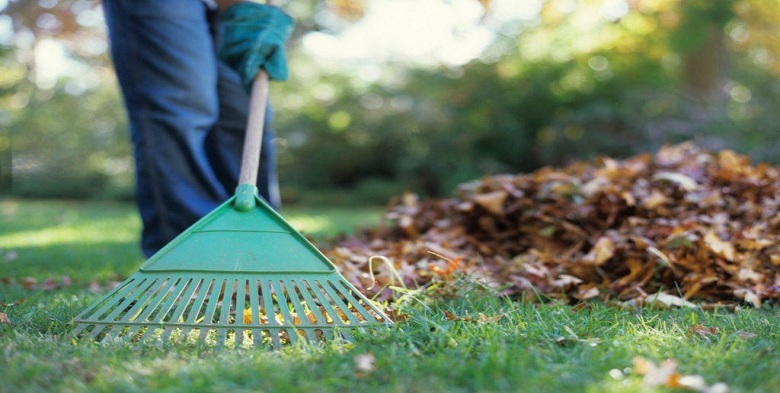 Spring Cleanup Guide for Your Minnesota City, MN Landscape