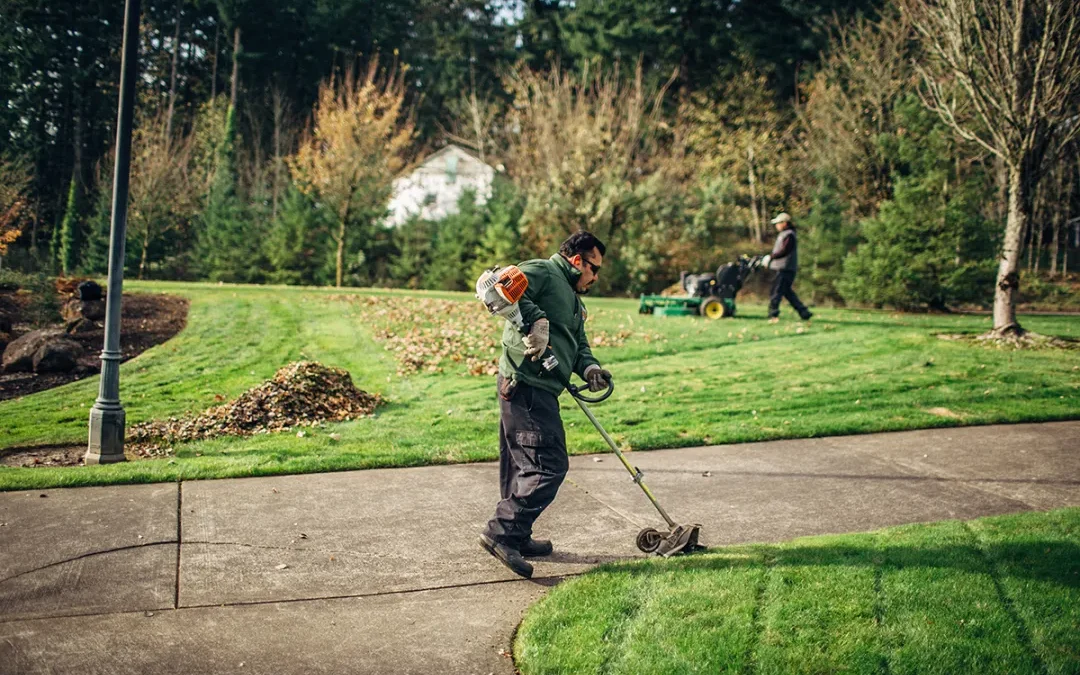 Top 5 Residential Landscaping Services You Need Every Spring