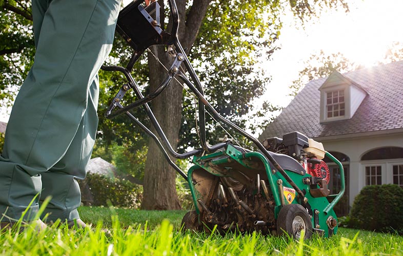 spring cleanup