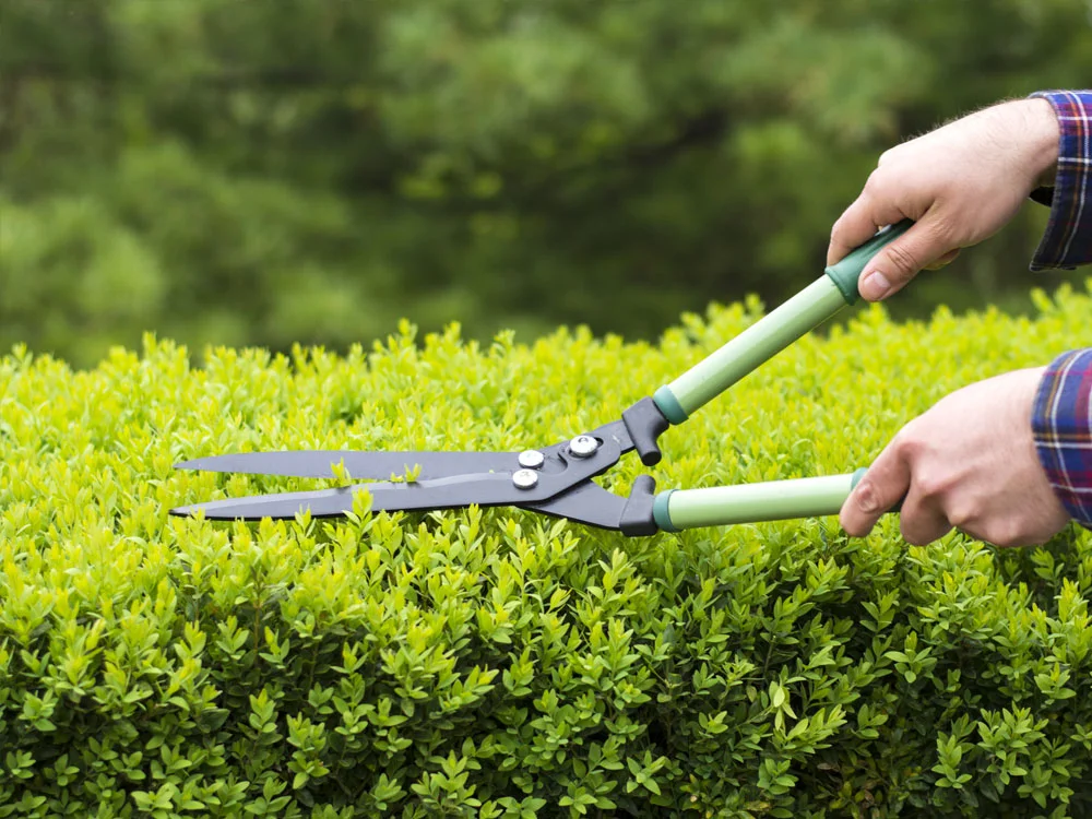 spring cleanup