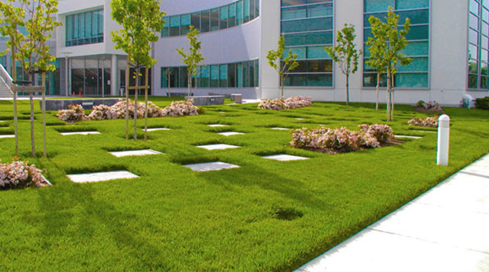 6 Signs You’re Choosing the Right Edina, MN Commercial Landscaping Company