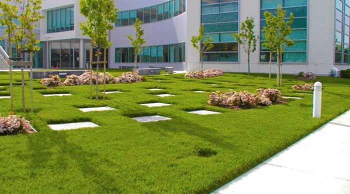 commercial landscaping