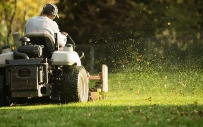 Should I Hire a Lawn Care Company in Otsego MN?