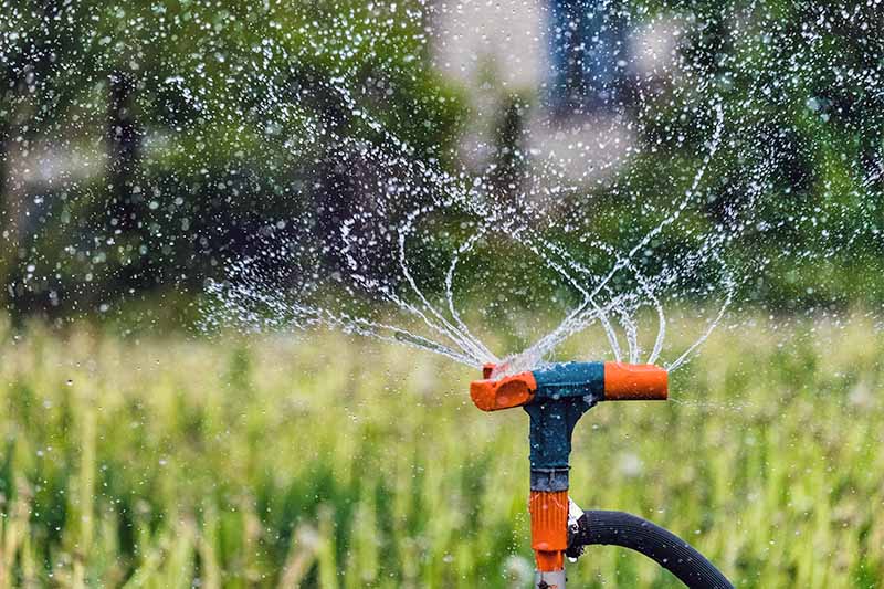 Keeping Your Landscape Hydrated This Summer