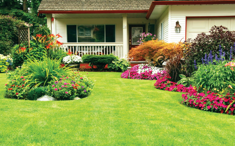 Gardening and Landscaping: Learn the Differences