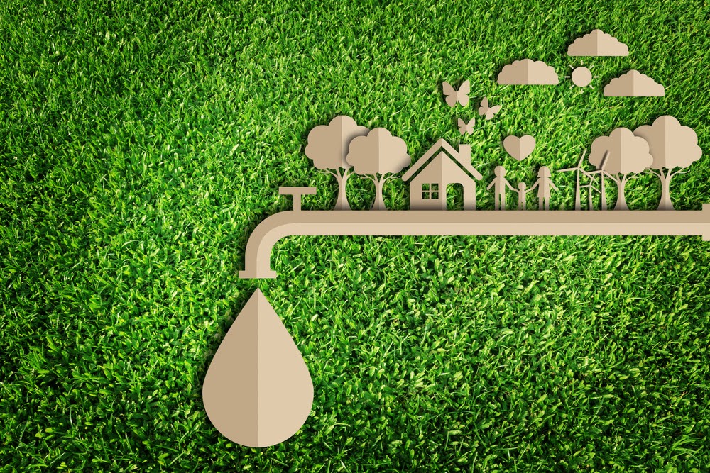 5 Greats Tips to Save Water in Your Landscaping