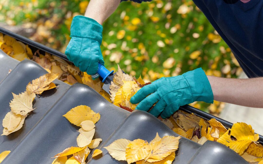 gutter cleaning