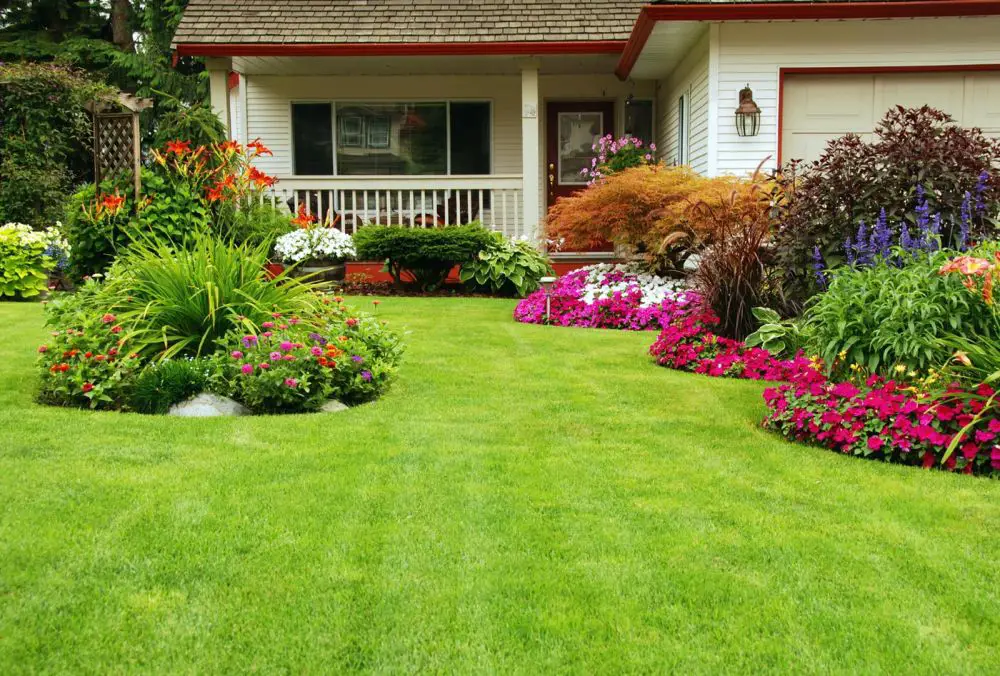 Autumn Lawn Care Essentials For Buffalo MN Homeowners