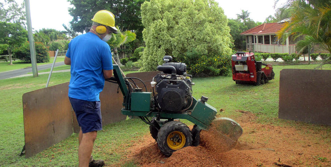 stump grinding cost