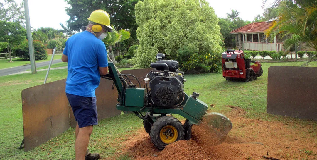 How Much Does Stump Grinding Cost?