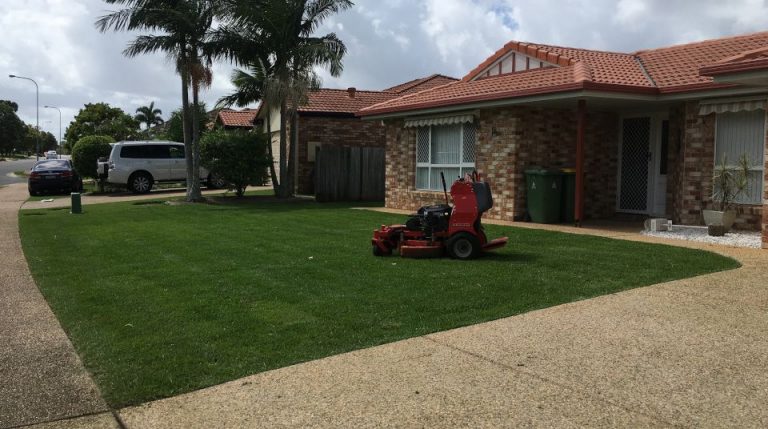 lawn maintenance