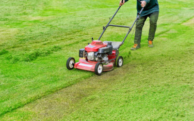 Is Your Lawn Scalping After Mowing?