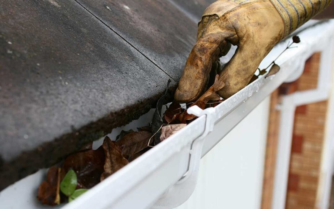 gutter cleaning