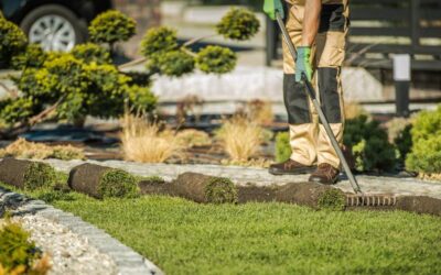 6 Benefits of Hiring Buffalo, MN Landscape Maintenance Crew